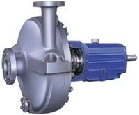 RPH Pumps
