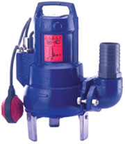 AMA PORTER Pumps